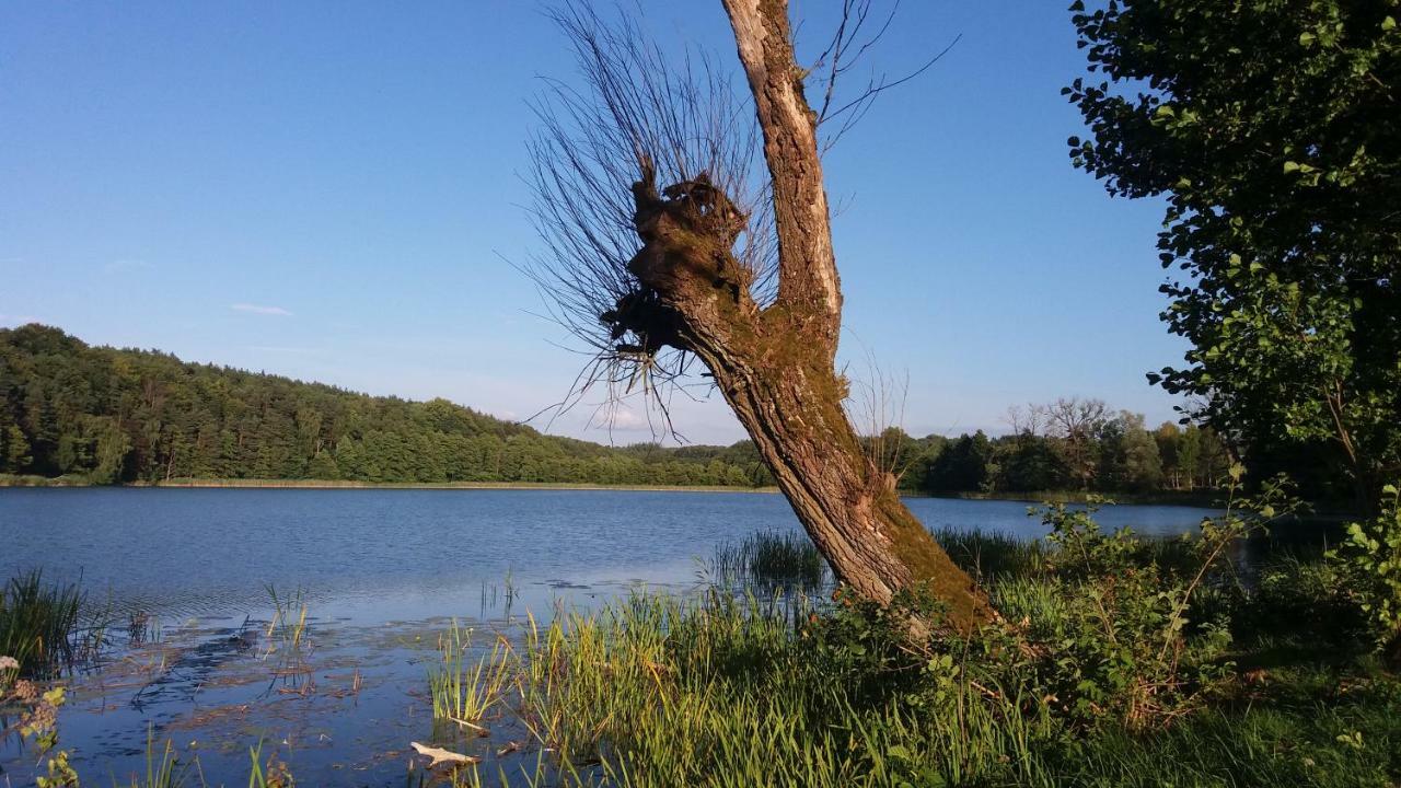 Dom Wakacyjny Kuszewo Czaplinek Kültér fotó
